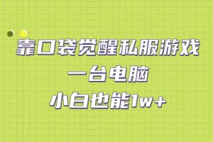 （7113期）靠口袋觉醒私服游戏，一台电脑，小白也能1w+（教程+工具+资料）
