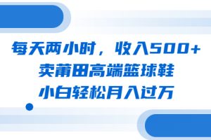 (6437期)每天两小时,收入500+,卖莆田高端篮球鞋,小白轻松月入过万(教程+素材)