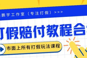 (6425期)2023年全套打假合集,集合市面所有正规打假玩法(非正规打假的没有)