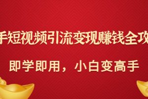 (3521期)快手短视频引流变现赚钱全攻略:即学即用,小白变高手