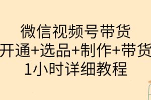 (3515期)陈奶爸·微信视频号带货:开通+选品+制作+带货(1小时详细教程)