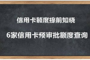（1306期）2020超级实用最新养卡提额技术黑科技+6家行信用卡预审批出额度方法