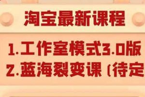 (1046期)淘宝无货源店群项目最新教程,轻松月入过万元(附全套软件)