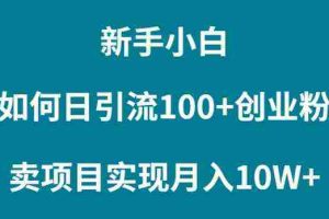 （9556期）新手小白如何通过卖项目实现月入10W+