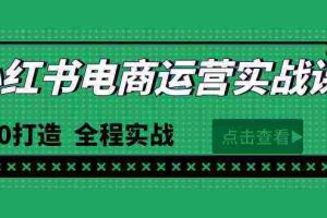 （9946期）最新小红书·电商运营实战课，从0打造  全程实战（65节视频课）