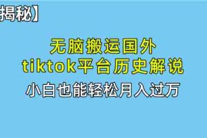 （10326期）无脑搬运国外tiktok历史解说 无需剪辑，简单操作，轻松实现月入过万