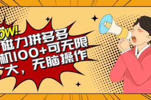 （10199期）2024最新玩法，磁力单机100+，无脑操作，可无限扩大。别再错失机会了!!!