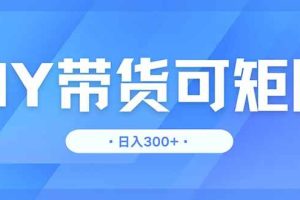 （14414期）DY带货，日入300＋矩阵无上限