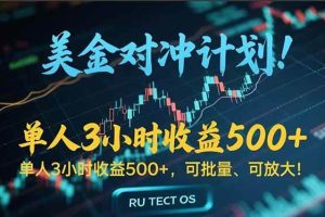 （15321期）长久稳定的撸美金项目，平均3小时收入 500+，可公司实地考察实地操作！